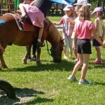 phoca_thumb_m_ponk 148 Fotogalerie